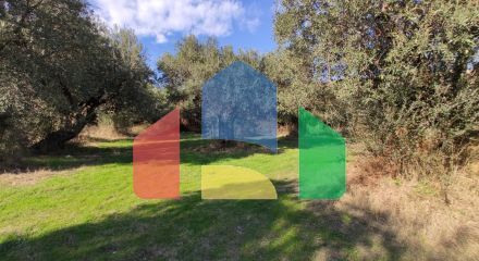 Продаж - Земельна ділянка 3700 m² на Сітонії (Халкідіки) Продаж - Земельна ділянка 3700 m² на Сітонії (Халкідіки)