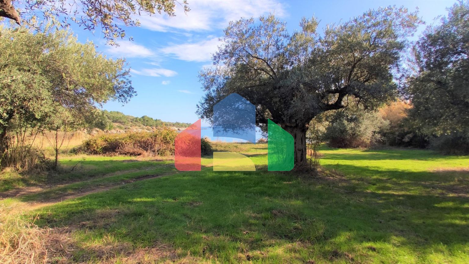 Продаж - Земельна ділянка 3700 m² на Сітонії (Халкідіки)