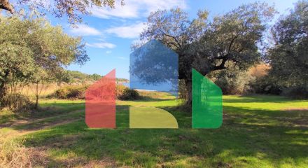 Продаж - Земельна ділянка 3700 m² на Сітонії (Халкідіки) Продаж - Земельна ділянка 3700 m² на Сітонії (Халкідіки)