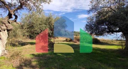 Продаж - Земельна ділянка 3700 m² на Сітонії (Халкідіки) Продаж - Земельна ділянка 3700 m² на Сітонії (Халкідіки)