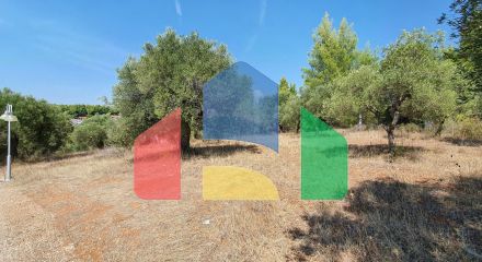 For Sale - Land 2700 m² in Sithonia, Chalkidiki
