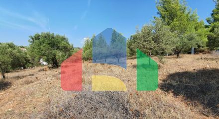 For Sale - Land 2700 m² in Sithonia, Chalkidiki