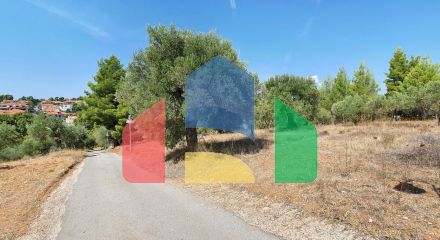 For Sale - Land 2700 m² in Sithonia, Chalkidiki
