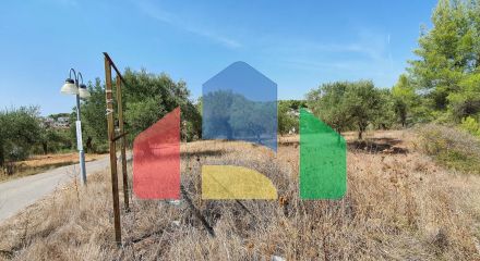 For Sale - Land 2700 m² in Sithonia, Chalkidiki