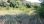 For Sale - Land 2000 m² in Sithonia, Chalkidiki