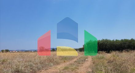 Продаж - Земельна ділянка 8687 m² на Сітонії (Халкідіки)