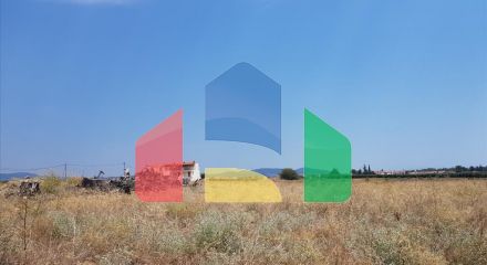 Продаж - Земельна ділянка 8687 m² на Сітонії (Халкідіки)