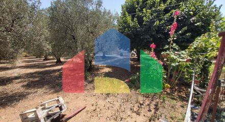 Продажа - Коттедж 100 m² на Ситонии (Халкидики)