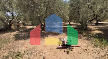 Продажа - Коттедж 100 m² на Ситонии (Халкидики)