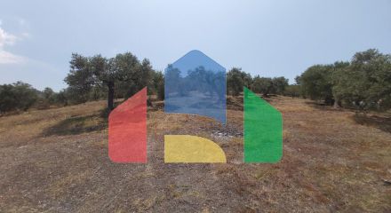 For Sale - Land 10500 m² in Sithonia, Chalkidiki