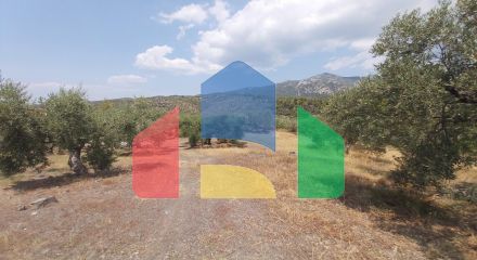 For Sale - Land 10500 m² in Sithonia, Chalkidiki