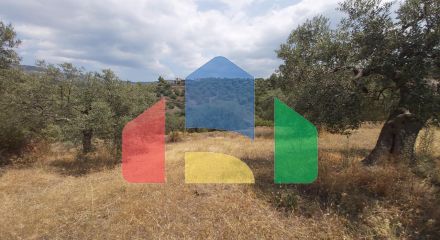 For Sale - Land 10500 m² in Sithonia, Chalkidiki