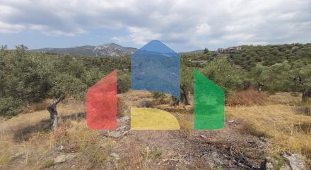 For Sale - Land 10500 m² in Sithonia, Chalkidiki
