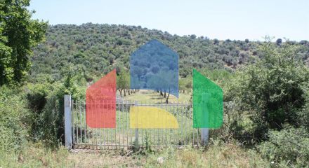 Продаж - Земельна ділянка 8000 m² на Сітонії (Халкідіки)