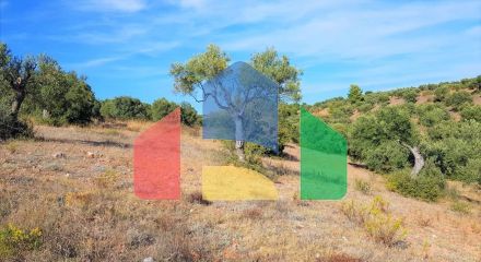 For Sale - Land 25000 m² in Sithonia, Chalkidiki