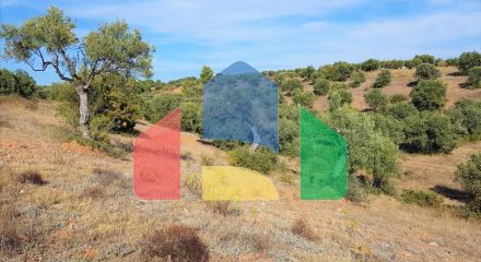 For Sale - Land 25000 m² in Sithonia, Chalkidiki