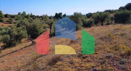 For Sale - Land 25000 m² in Sithonia, Chalkidiki