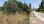 For Sale - Land 1800 m² in Sithonia, Chalkidiki