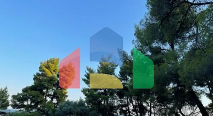 Продажа - Квартира 75 m² на Ситонии (Халкидики) Продажа - Квартира 75 m² на Ситонии (Халкидики)