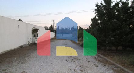 Продажа - Коттедж 460 m² на Ситонии (Халкидики)