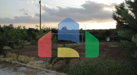 Продажа - Коттедж 460 m² на Ситонии (Халкидики)