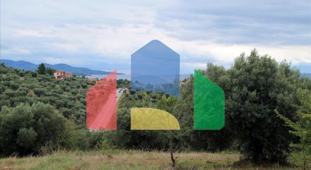 For Sale - Land 16500 m² in Sithonia, Chalkidiki