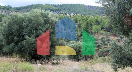 For Sale - Land 16500 m² in Sithonia, Chalkidiki