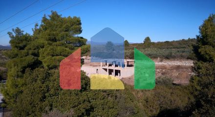 For Sale - Land 12000 m² in Sithonia, Chalkidiki