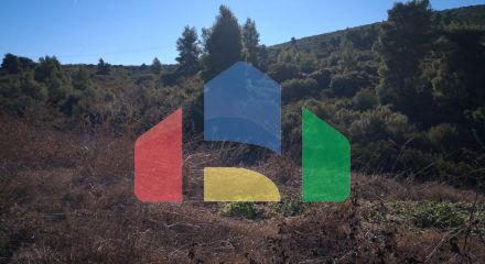 For Sale - Land 12000 m² in Sithonia, Chalkidiki