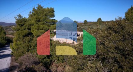 For Sale - Land 12000 m² in Sithonia, Chalkidiki