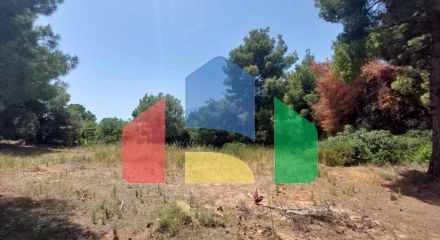 For Sale - Land 1140 m² in Sithonia, Chalkidiki