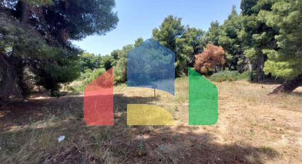 For Sale - Land 1140 m² in Sithonia, Chalkidiki