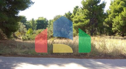 For Sale - Land 1140 m² in Sithonia, Chalkidiki
