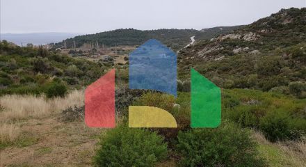 Продажа - Земельный участок 12500 m² на Ситонии (Халкидики)