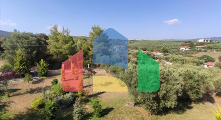 Продажа - Коттедж 360 m² на Ситонии (Халкидики)