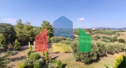 Продажа - Коттедж 360 m² на Ситонии (Халкидики)