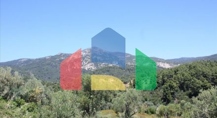 For Sale - Land 4990 m² in Sithonia, Chalkidiki