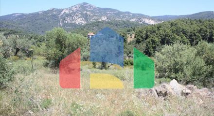 For Sale - Land 4990 m² in Sithonia, Chalkidiki