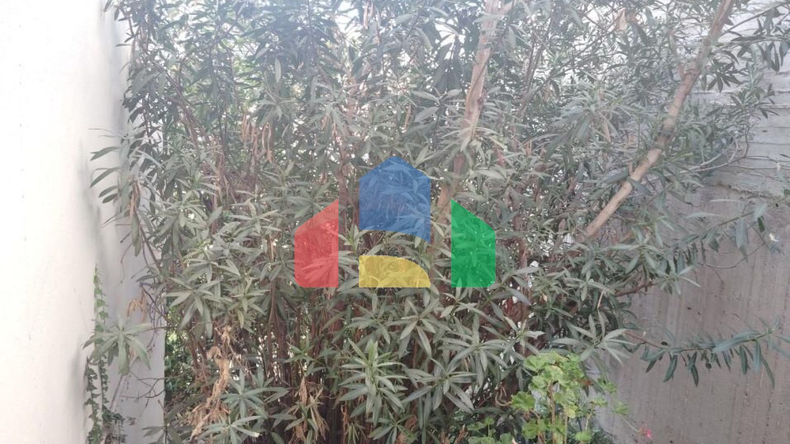 Продажа - Квартира 103 m² на Ситонии (Халкидики)