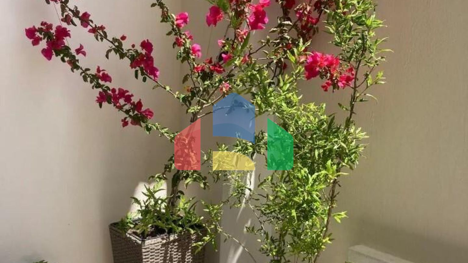 Продаж - Котедж 215 m² на Сітонії (Халкідіки)