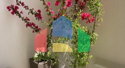 Продаж - Котедж 215 m² на Сітонії (Халкідіки)