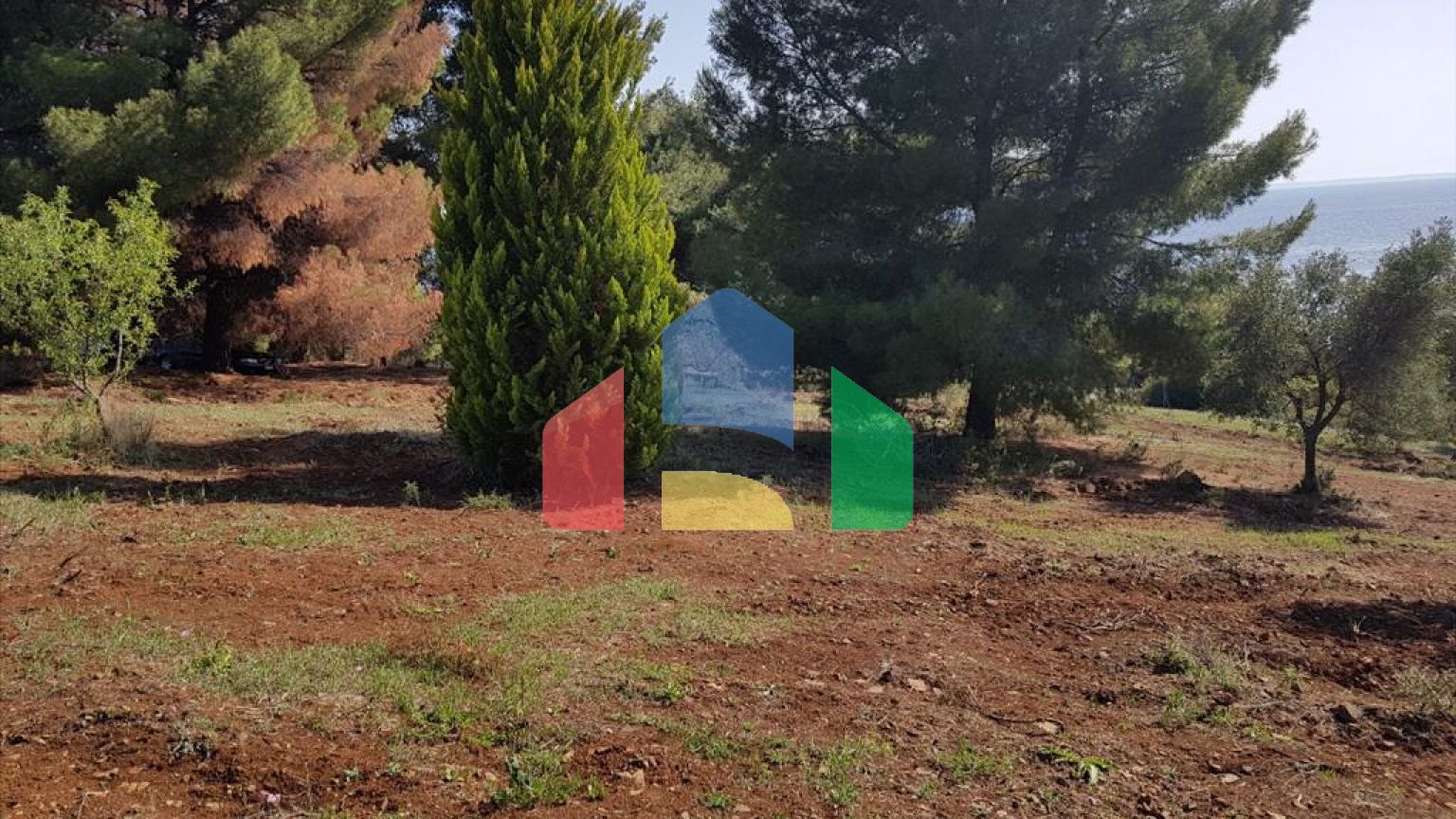 Продаж - Земельна ділянка 6500 m² на Сітонії (Халкідіки)