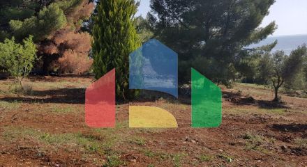 Продаж - Земельна ділянка 6500 m² на Сітонії (Халкідіки)