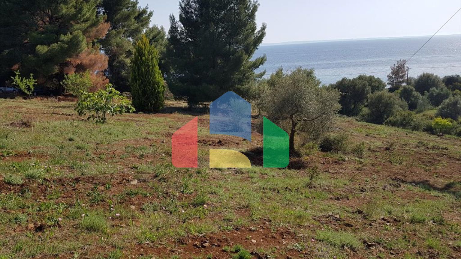 Продаж - Земельна ділянка 6500 m² на Сітонії (Халкідіки)