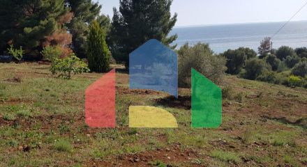 Продаж - Земельна ділянка 6500 m² на Сітонії (Халкідіки)