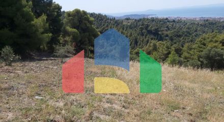 For Sale - Land in Sithonia, Chalkidiki