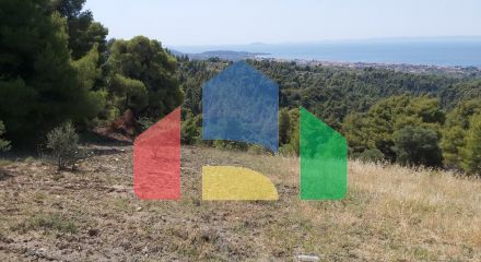 For Sale - Land in Sithonia, Chalkidiki