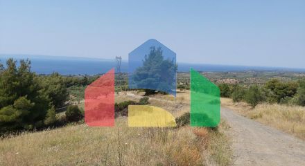 For Sale - Land in Sithonia, Chalkidiki