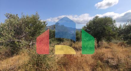 Продаж - Земельна ділянка 4188 m² на Сітонії (Халкідіки)