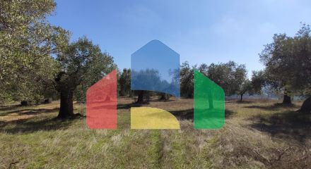 Продаж - Земельна ділянка 9000 m² на Сітонії (Халкідіки)